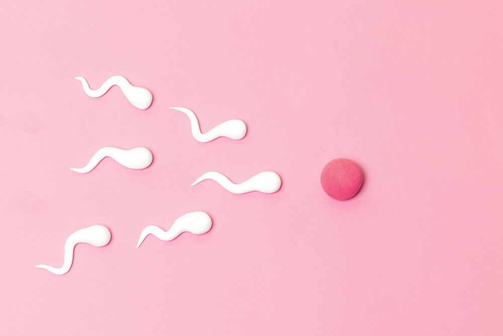 La fertilité, une question féminine ?