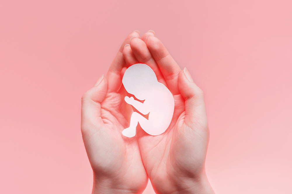 Donner / Recevoir des embryons humains : l'accueil d'embryons